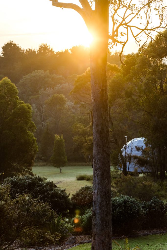 Photo by Lara Wiseman Daniel Photography venue at Wild Spark Retreat 2024